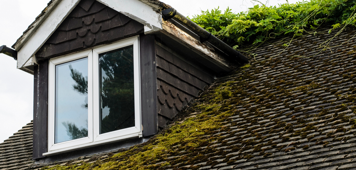 Is Moss Bad For Your Roof?